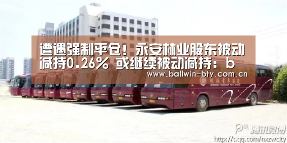 遭遇强制平仓!永安林业股东被动减持0.26% 或继续被动减持:b sports官网